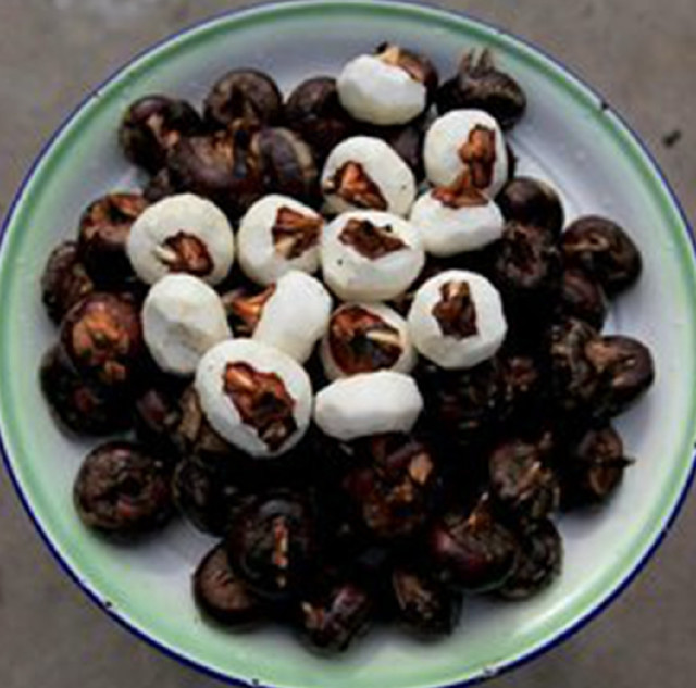 荸薺之旅,探尋內(nèi)心平靜的綠色行情