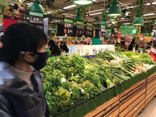 安徽土豆價格實時更新,最新行情報告