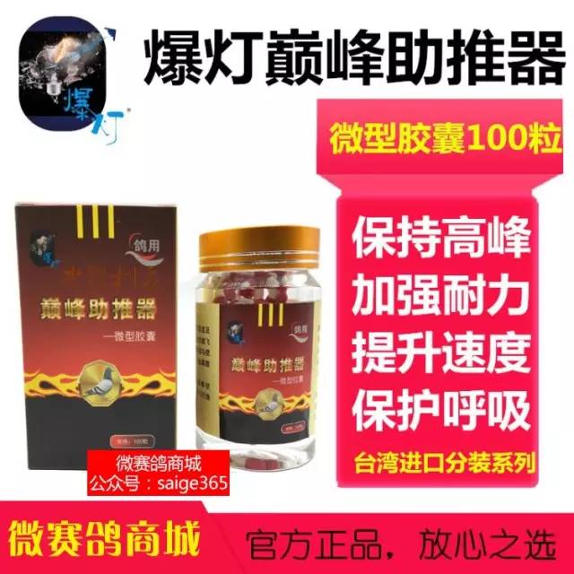 揭秘獨家自制賽鴿比賽提速藥秘訣,輕松贏在起跑線!