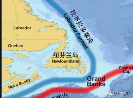 四大萌捕演員,演繹青春熱血的影視新勢力風采