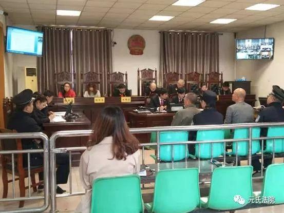 元氏最新案件,心靈與自然的神秘交織之旅