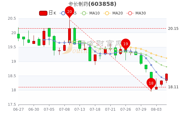 步長制藥股票吧,科技驅動革新,引領制藥行業新紀元