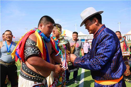 跳繩比賽的心得體會,激情與技巧的交織體驗