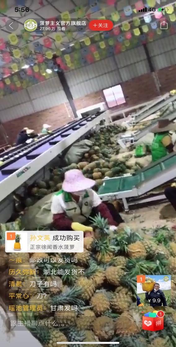 吃播上市,吃播上市,一場遠離塵囂的美食與自然之旅