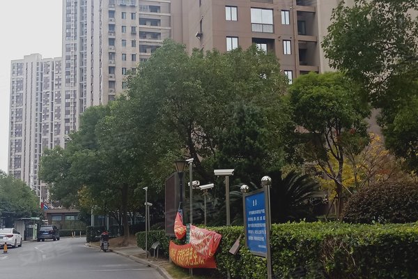 高平康達苑最新資訊,小巷中的隱藏寶藏揭秘