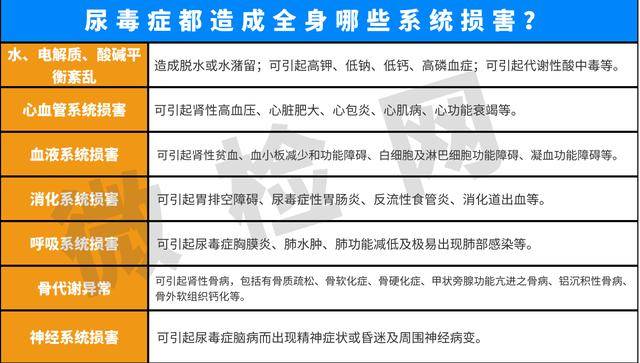 尿毒癥國家最新政策,友情的紐帶與溫馨日常故事