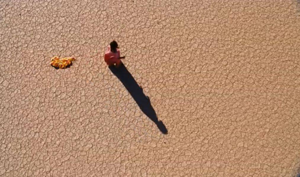 沙漠之花演員,演繹極端環境中的生命奇跡