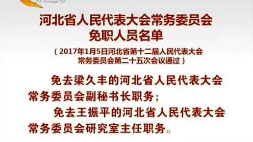 河北最新人事任命2017,日常故事中的溫馨人事變遷