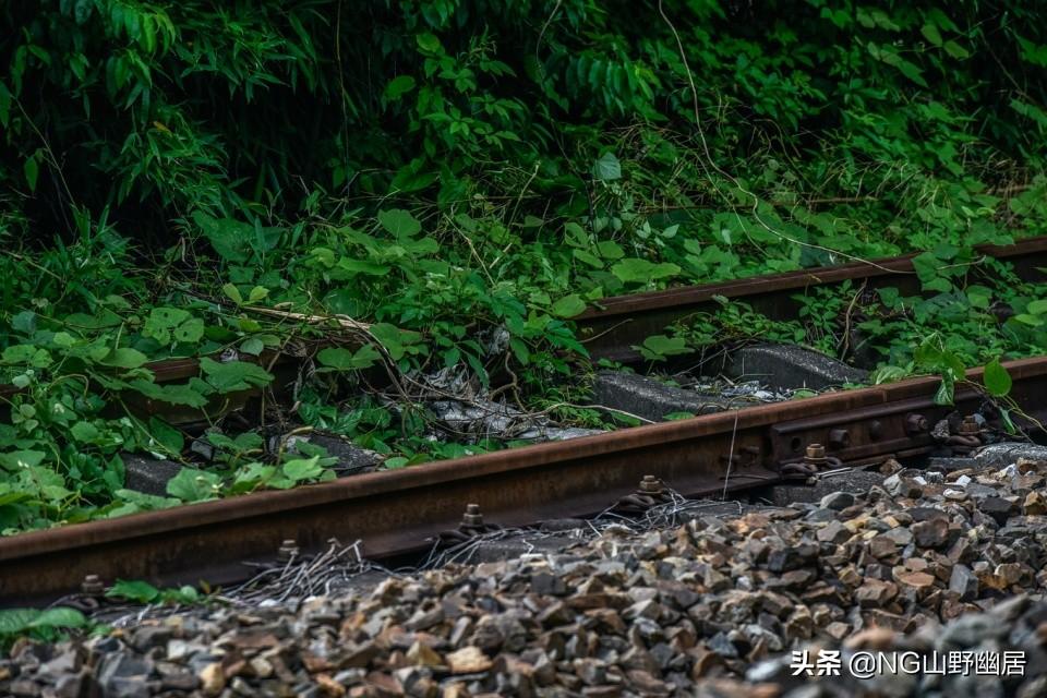 寧國(guó)鐵路最新動(dòng)態(tài),小巷深處的風(fēng)情與特色小店魅力