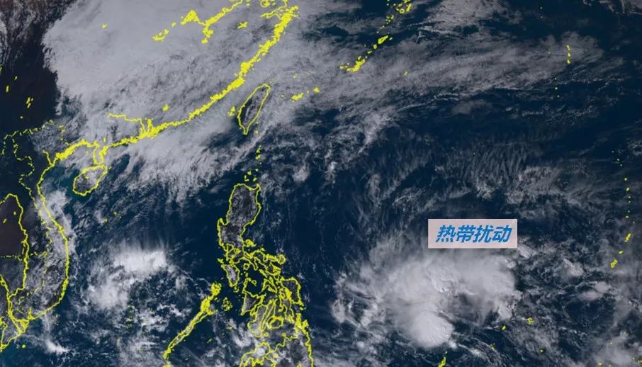 熱帶氣旋最新動態與風暴中的溫情故事