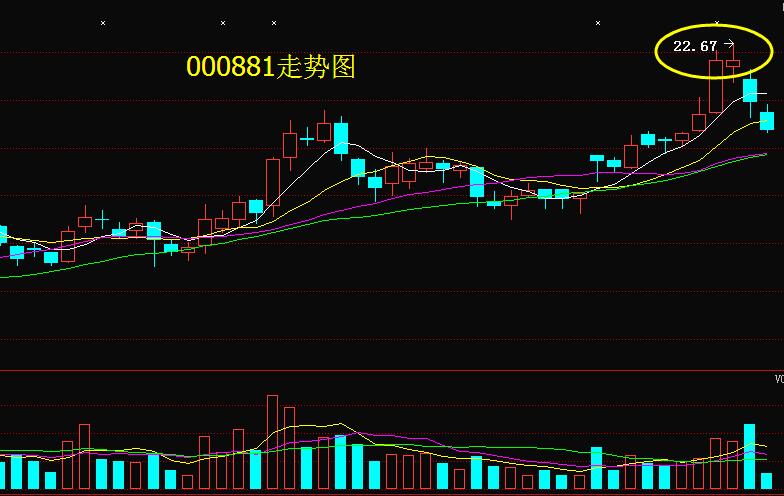 000881股票行情,揭秘小巷深處的寶藏,隱藏在股市中的獨特魅力——關于000881股票行情與一家特色小店的奇妙故事