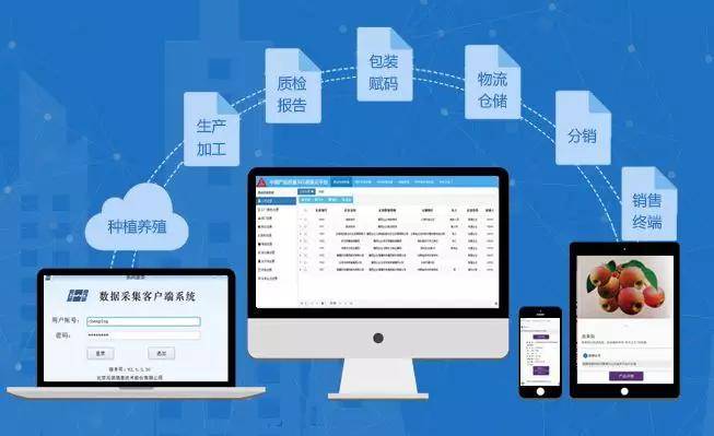 2025新澳門正版資料大全視頻,數據導向計劃_量身定制版61.233