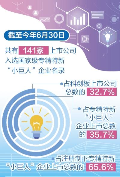 2025澳門6合彩官方網,高效執行方案_未來科技版13.627