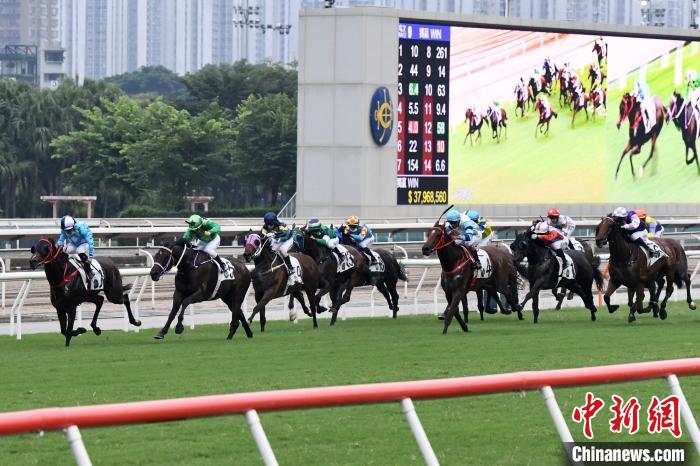 2025香港賽馬全年免費資料,數據驅動方案_移動版37.396