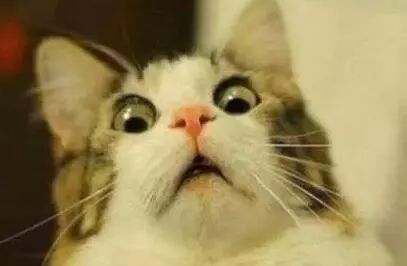 四不像正版+正版資料大全,釋意性描述解_影視版62.309