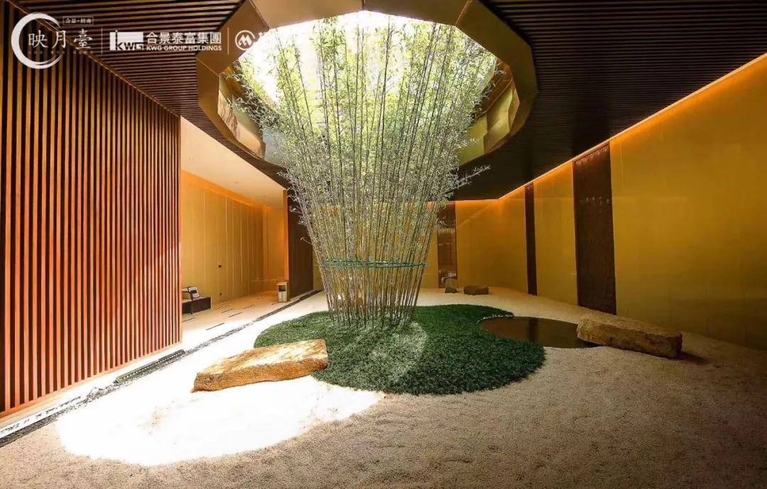 新奧今天最新資料天天,即時解答解析分析_動態版91.566