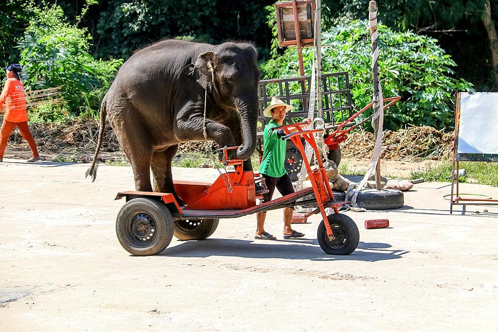 最新野外汽車體驗之旅,駛向自然,探尋內心平靜之道