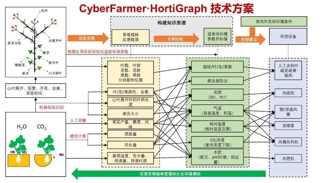 澳門雷鋒心水大眾網,穩固執行方案計劃_知識版3.252