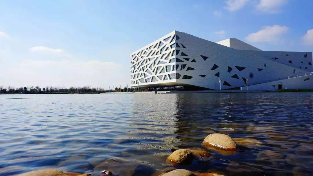 最新招聘資訊,愛與陪伴的求職奇遇之旅