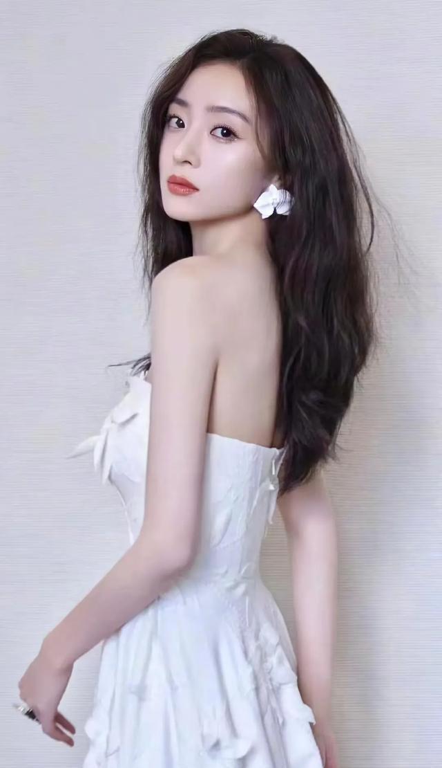 安徽明星的成功之路,學習技能與經驗啟示錄