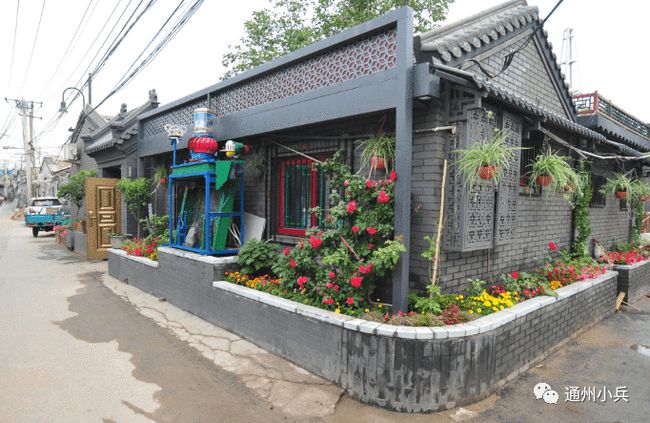 狂野角斗士2025新篇章揭秘,熱血競技的嶄新序幕