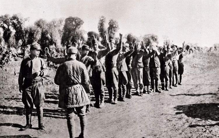 最新抗戰電視劇,小巷深處的戰爭故事與特色小店揭秘