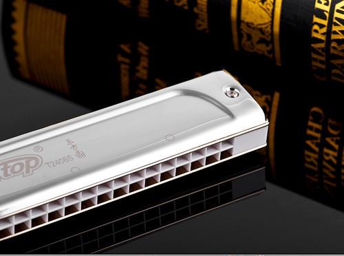 重音口琴價(jià)格,自然美景之旅的邀請(qǐng)