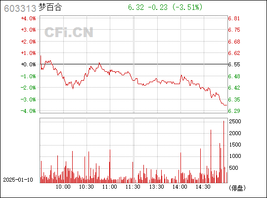 深度解析,603313股票背景、重要事件與地位分析