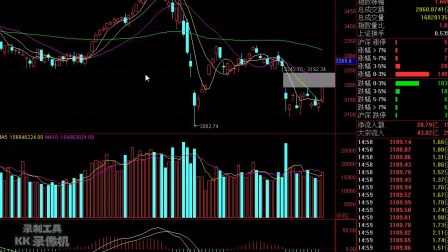 股票技術分析,心靈與自然的探索之旅