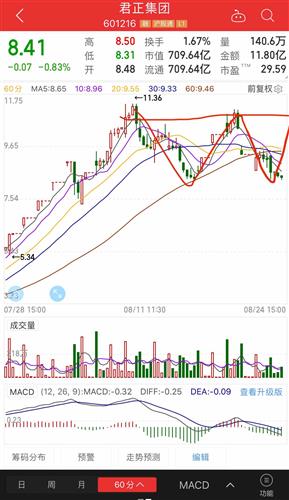 君正集團(tuán)股票行情揭秘,股票情緣探秘
