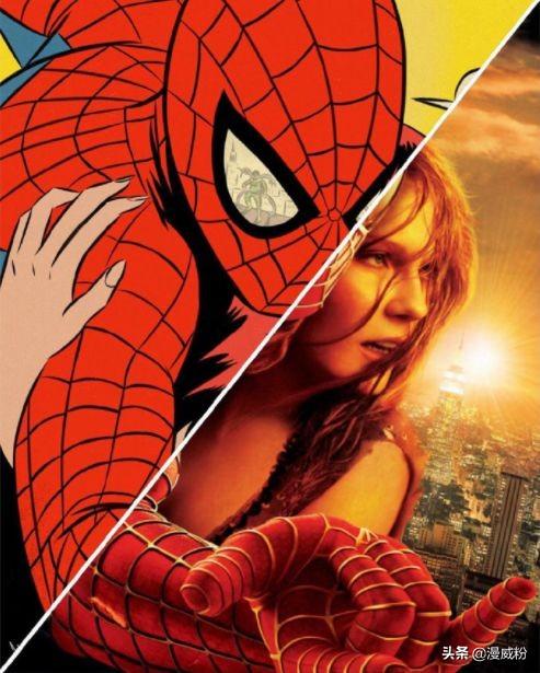 甄子丹最新資訊下載,動態更新與觀點論述