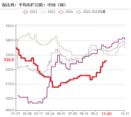 2025年雞蛋行情展望,溫情與未來的交織