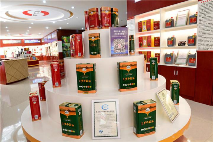 羅平招聘資訊揭秘,小巷深處的職業寶藏探索