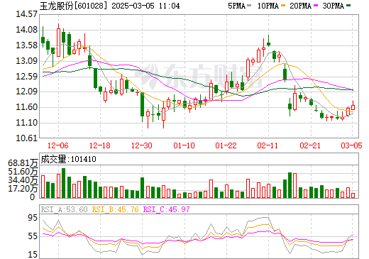玉龍股份股票行情最新動態(tài),股市熱議焦點??