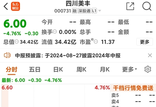 四川美豐股票投資價值深度解析