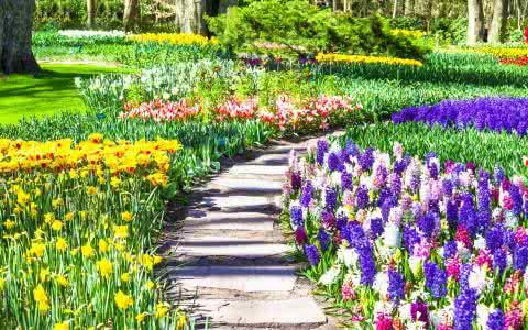 幸福九號上市,溫馨故事的開啟之旅