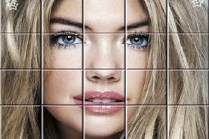 拼圖明星的日常傳奇