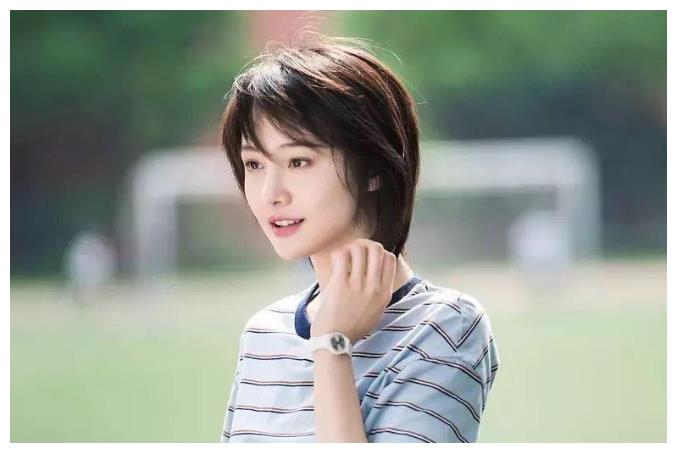 H版演員表深度解析,意義與價值探討