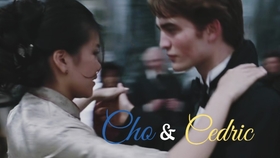 H版演員表深度解析,意義與價值探討