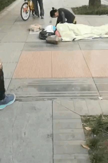 玉米價格實時動態(tài)更新