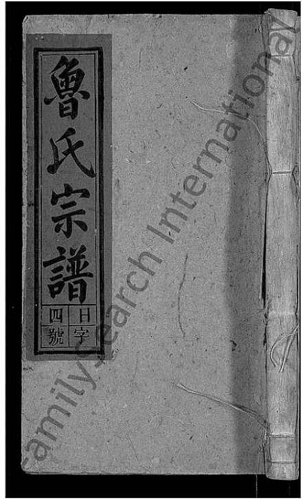 魯姓明星帶你探索自然之美,尋覓內心寧靜之旅