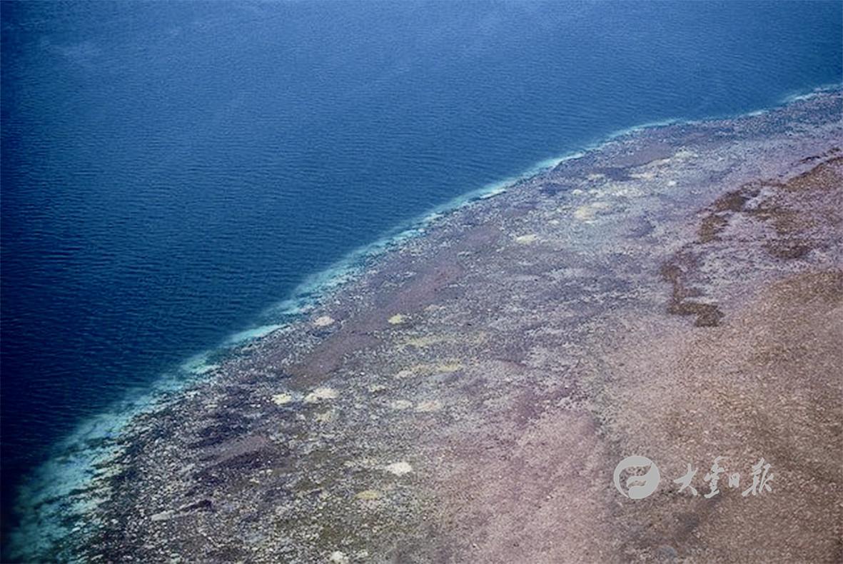 最新海洋氣象快報與小巷深處的海洋特色小店探秘揭秘