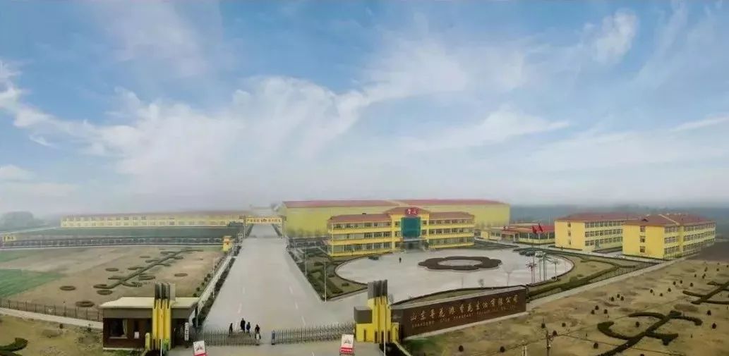 定陶賽托生物上市,變化中的學(xué)習(xí)成就自信與輝煌