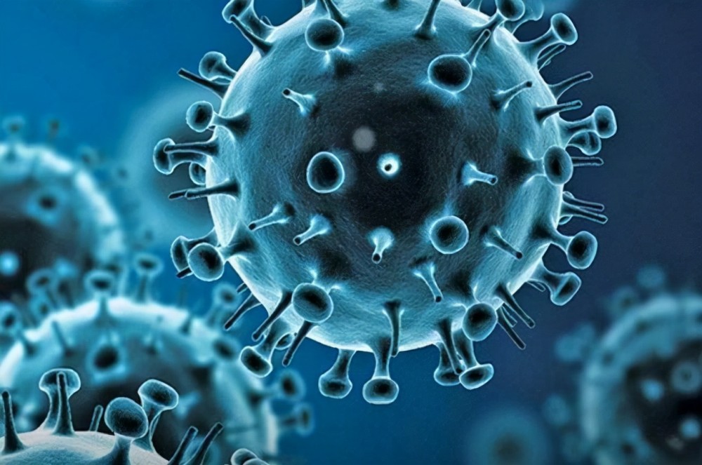 全球病毒疫情最新動態(tài),心靈之旅在大自然的呼喚中啟程