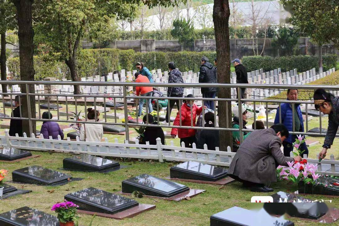 過寧最新疫情全面解讀及應對建議,最新動態與應對策略