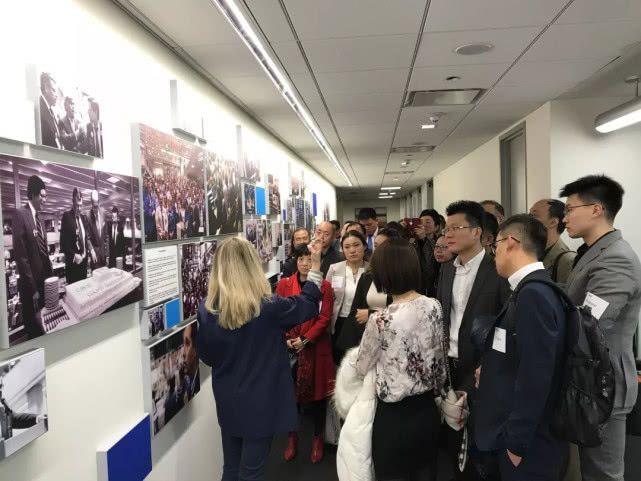 美國最新期貨行情,時代脈動與全球影響分析