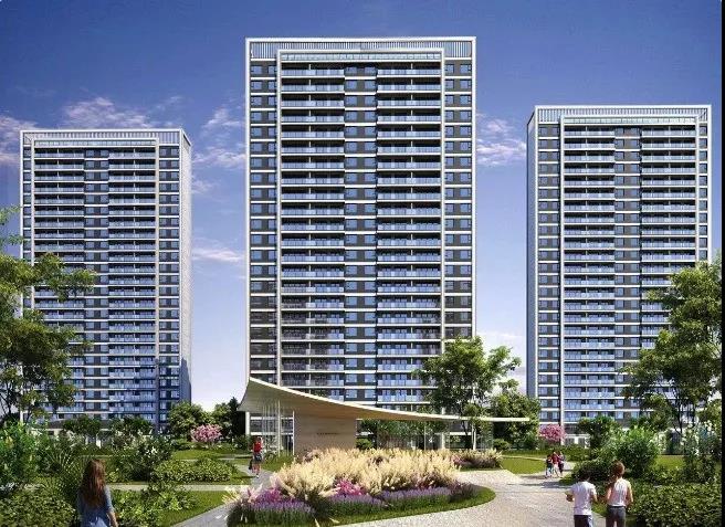 蒲城公園大境最新動態更新