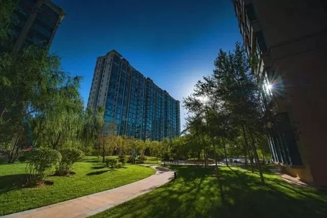 蒲城公園大境最新動態更新