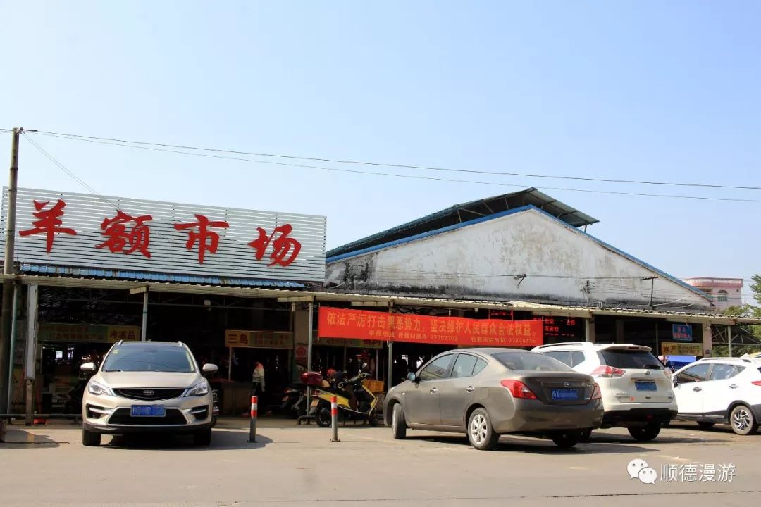 順德倫教羊額最新招聘啟航,探索自然美景,尋找內(nèi)心寧靜之旅