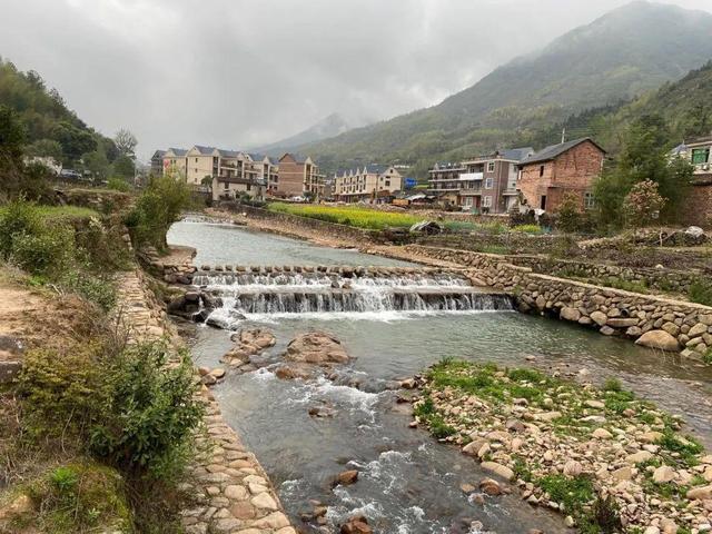 遂昌新聞網最新消息獲取與了解步驟指南